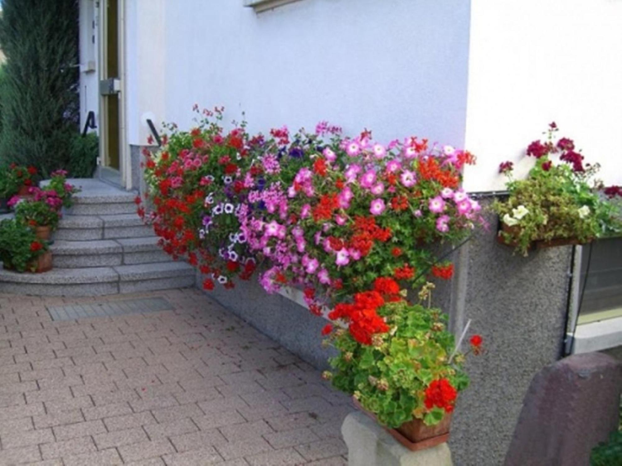 Studio Rouffach Exterior foto