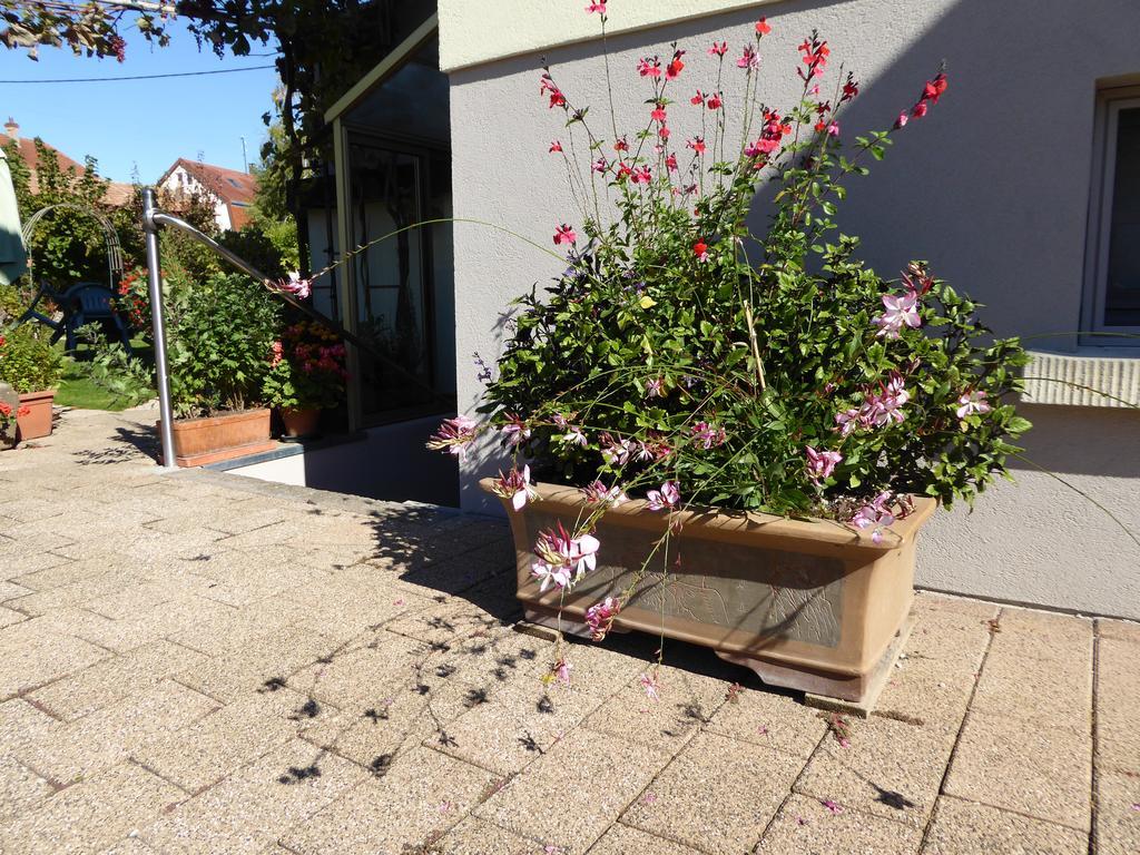 Studio Rouffach Exterior foto